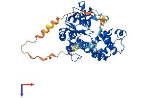 AlphaFold protein structure predicition of Human Recombinant CHST12 Protein, UniprotID Q9NRB3