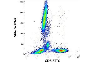 Flow cytometry surface staining pattern of human peripheral whole blood stained using anti-human CD5 (L17F12) FITC antibody (4 μL reagent / 100 μL of peripheral whole blood). (CD5 anticorps  (FITC))