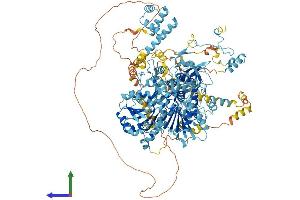 AlphaFold protein structure predicition of Mouse Recombinant Dhx8 Protein, UniprotID A2A4P0