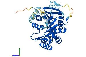 AlphaFold protein structure predicition of Human Recombinant LDAH Protein, UniprotID Q9H6V9