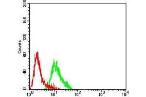 Flow cytometric analysis of SK-N-SH cells using GRM2 mouse mAb (green) and negative control (red).