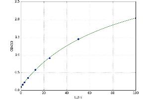 ATP Citrate Lyase (ACLY) ELISA Kit
