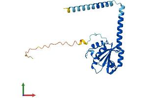 AlphaFold protein structure predicition of Human Recombinant TXNDC9 Protein, UniprotID O14530
