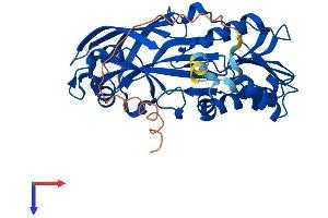 AlphaFold protein structure predicition of Mouse Recombinant Prmt1 Protein, UniprotID Q9JIF0