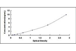 Typical standard curve (BAF53A Kit ELISA)