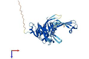 AlphaFold protein structure predicition of Mouse Recombinant Usp12 Protein, UniprotID Q9D9M2