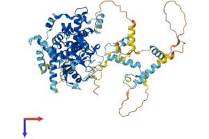 AlphaFold protein structure predicition of Human Recombinant ECD Protein, UniprotID O95905