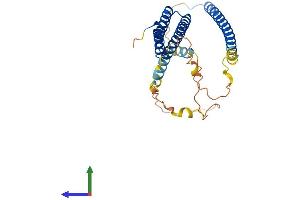 AlphaFold protein structure predicition of Human Recombinant NRBF2 Protein, UniprotID Q96F24