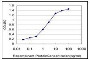 ELISA image for anti-High Mobility Group Box 2 (HMGB2) (AA 1-196) antibody (ABIN614619)