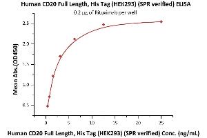 Immobilized Rituximab at 2 μg/mL (100 μL/well) can bind Human CD20 Full Length, His Tag, HEK293 (SPR verified) (ABIN6731296,ABIN6809865,ABIN6809866) with a linear range of 0.