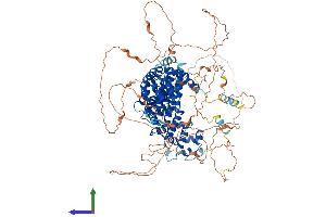 AlphaFold protein structure predicition of Human Recombinant PPP6R2 Protein, UniprotID O75170