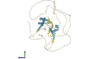 AlphaFold protein structure predicition of Human Recombinant CATSPER1 Protein, UniprotID Q8NEC5