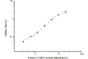 Typical standard curve (Cyclin D1 Kit ELISA)