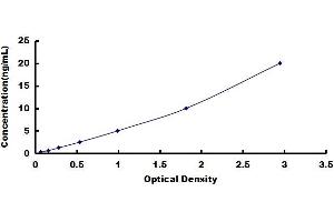 Osteocrin (OSTN) ELISA Kit