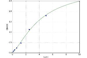 Dickkopf 2 Homolog (DKK2) ELISA Kit