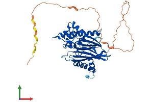 AlphaFold protein structure predicition of Mouse Recombinant Ilkap Protein, UniprotID Q8R0F6