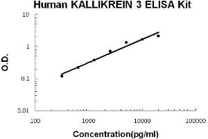 Human Kallikrein 3 PicoKine ELISA Kit standard curve (Prostate Specific Antigen Kit ELISA)