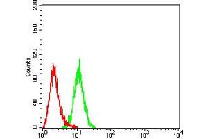 Flow cytometric analysis of Hela cells using BAG1 mouse mAb (green) and negative control (red).