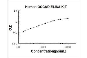 Osteoclast Associated Receptor (OSCAR) ELISA Kit