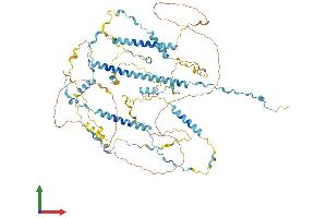 AlphaFold protein structure predicition of Human Recombinant TPX2 Protein, UniprotID Q9ULW0