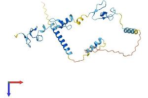 AlphaFold protein structure predicition of Human Recombinant ZFAND2B Protein, UniprotID Q8WV99