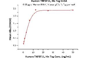 Immobilized Human RANK, Mouse IgG2a Fc Tag, low endotoxin (ABIN5954944,ABIN6253593) at 0.