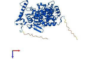 AlphaFold protein structure predicition of Mouse Recombinant Fntb Protein, UniprotID Q8K2I1