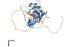 AlphaFold protein structure predicition of Mouse Recombinant Hipk4 Protein, UniprotID Q3V016