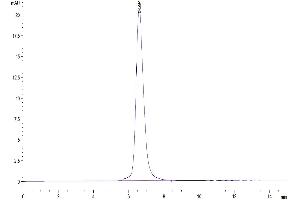 The purity of Mouse SEZ6L2 is greater than 95 % as determined by SEC-HPLC.