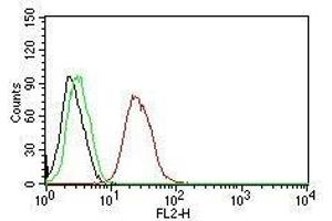 Flow Cytometry for human ER-beta on MCF-7 cells. (ESR2 anticorps  (C-Term))