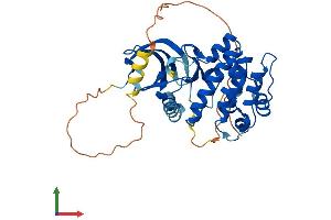 AlphaFold protein structure predicition of Mouse Recombinant Aurkb Protein, UniprotID O70126
