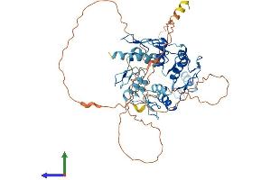 AlphaFold protein structure predicition of Human Recombinant ZNF35 Protein, UniprotID P13682