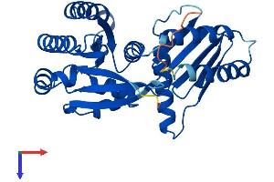 AlphaFold protein structure predicition of Human Recombinant RRAGA Protein, UniprotID Q7L523