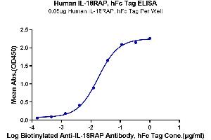 Immobilized Human IL-18RAP, hFc Tag at 0.