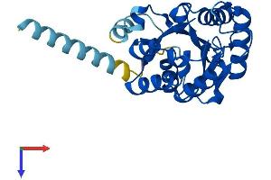 AlphaFold protein structure predicition of Mouse Recombinant Pigl Protein, UniprotID Q5SX19