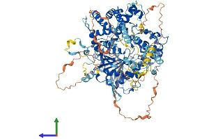 AlphaFold protein structure predicition of Human Recombinant XRN2 Protein, UniprotID Q9H0D6