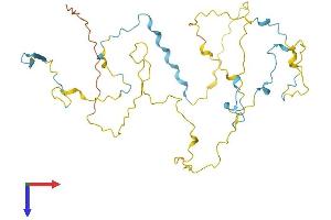 AlphaFold protein structure predicition of Human Recombinant STPG1 Protein, UniprotID Q5TH74