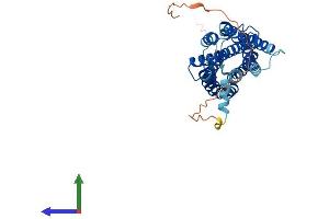 AlphaFold protein structure predicition of Mouse Recombinant Lpar5 Protein, UniprotID Q149R9