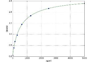 Adenylate Cyclase 10 (Soluble) (ADCY10) ELISA Kit