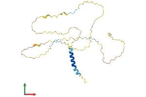 AlphaFold protein structure predicition of Mouse Recombinant Lat Protein, UniprotID O54957