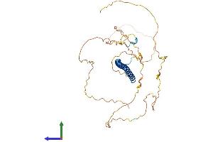 AlphaFold protein structure predicition of Mouse Recombinant Fos Protein, UniprotID P01101