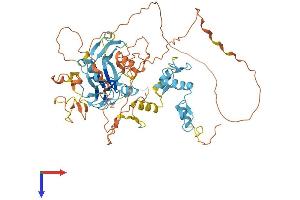 AlphaFold protein structure predicition of Mouse Recombinant Prdm6 Protein, UniprotID Q3UZD5