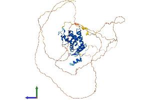 AlphaFold protein structure predicition of Human Recombinant MBD4 Protein, UniprotID O95243
