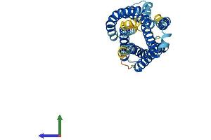AlphaFold protein structure predicition of Mouse Recombinant Gpr55 Protein, UniprotID Q3UJF0
