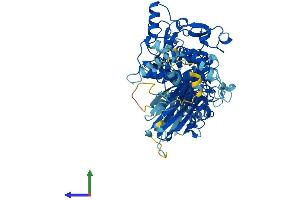 AlphaFold protein structure predicition of Mouse Recombinant Capn8 Protein, UniprotID Q91VA3