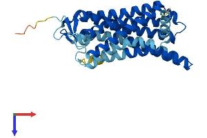 Olfactory Receptor, Family 5, Subfamily AN, Member 1 (OR5AN1) (AA 1-311) protein (His tag)