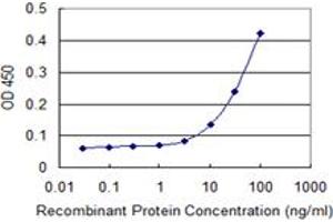 Detection limit for recombinant GST tagged NPR2 is 3 ng/ml as a capture antibody. (NPR2 anticorps  (AA 131-230))