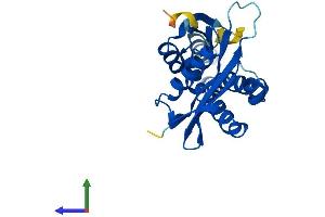 AlphaFold protein structure predicition of Human Recombinant NAT8B Protein, UniprotID Q9UHF3
