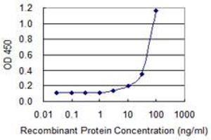 Detection limit for recombinant GST tagged MYBL1 is 1 ng/ml as a capture antibody.