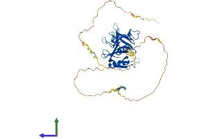 AlphaFold protein structure predicition of Mouse Recombinant Plekha1 Protein, UniprotID Q8BUL6